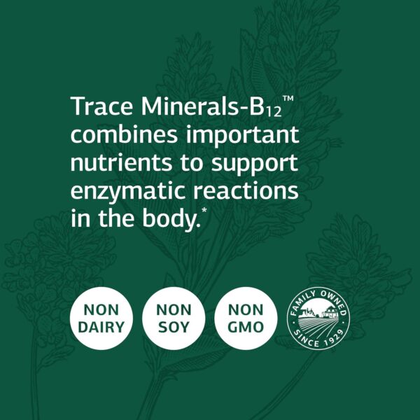 Standard Process Trace Minerals-B12 - Whole Food Spleen, Bone Health, Immune Support, Metabolism and Thyroid Support with Manganese, Kelp, Iodine, Copper, Vitamin B12, Zinc, and Iron - 90 Tablets