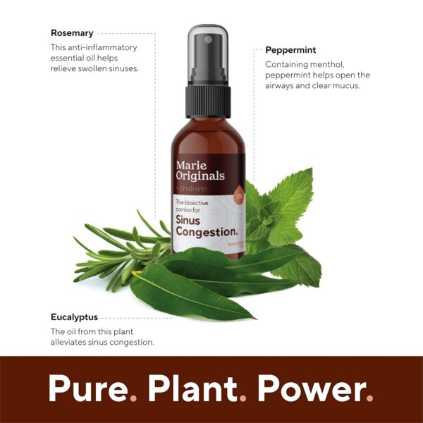 Breathe Blend Essential Oil Sinus Spray | Best Therapeutic Grade Essential Oils for Sleep, Stress, Congestion Relief | Peppermint, Eucalyptus, Rosemary, Clove, Olive, Cajeput, Mint | Aromatherapy Oils