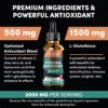 2000MG Liposomal Glutathione Liquid Drops, Enhanced Absorption, Glutathione Supplement, with Vitamin C, Hyaluronic Acid, L-Glutathione, Non-GMO Antioxidant for Liver Detox, 8.08 OZ