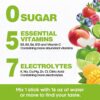 Venture Pal Sugar Free Electrolyte Powder Packets - Liquid Daily IV Hydration Packets | Electrolytes Drink Mix with 5 Vitamins & 7 Electrolytes | Keto Friendly | Non-GMO | Certified Vegan | 28 Sticks