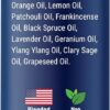Stress Ease Essential Oil Roll-On Blend 10 ml - Natural Stress Relief with Lavender, Geranium & Frankincense Oils Roller - Pure & Calming Aromatherapy - Nexon Botanics