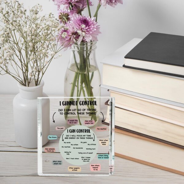 Mental Health Awareness Gifts, Mental Health Decor, Positive Affirmations Psychology Gifts, Therapy Office School Counselor Sign, Things I Can Control Acrylic Gifts, School Counselor Office Must Haves