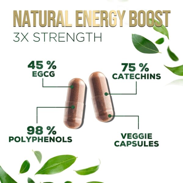 Green Tea Extract Capsules 1000mg 98% Standardized EGCG - 3X Strength for Natural Energy - Heart Support with Polyphenols - Gentle Caffeine - 240 Capsules