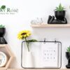 Der Rose 3pcs Fake Succulents Plants Artificial for Black Bathroom Bedroom Home Room Decor Aesthetic Indoor