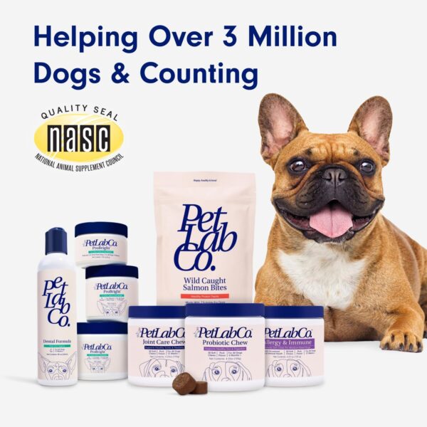 PetLab Co. Dog Dental Formula - Keep Dog Breath Fresh and Teeth Clean - Supports Gum Health - Dog Water Additive Dental Care Targets Tartar - Packaging May Vary