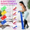 Resistance Bands Set, 5 Pcs Exercise Bands Elastic Stretch Bands for Yoga Pilates Fitness Stretching Strength Training, Workout Bands for Home Gym