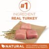 Purina ONE Plus Healthy Weight High-Protein Dog Food Dry Formula - 16.5 lb. Bag
