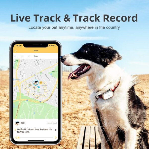 G1-US GPS Pet Tracker, Real-Time Dog Locator & Activity Monitor, 30 Days Ultra Long-Lasting Battery Lightweight Waterproof Dog Finder (White)