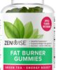Zenwise Health Fat Burner Gummies - Appetite Suppressant for Weight Loss with Green Tea Extract and Garcinia Cambogia for Metabolism + Green Coffee Bean and Raspberry Ketone - 60 Count Apple Gummies