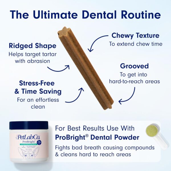 PetLab Co. Dental Sticks – Dog Dental Chews -Target Plaque & Tartar Build-Up at The Source - Designed to Maintain Your Dog’s Oral Health, Keep Breath Fresh and Provide Digestive Help (6 Sticks)