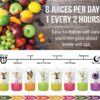 LEMONKIND 3-Day CORE Nutrient-Dense Cleanse: Detox, Boost Energy, Manage Weight, Break Bad Habits - Plant-Based, Non-GMO, Gluten-Free, Pressed, No Concentrates - 24 juices.