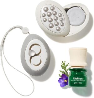 Lifelines Scent-Infused Grounding Stones, 2-Pack, Flow Pack - Portable Fidgets for Adults with Essential Oil Blend & Diffusion Stones for Sensory Immersion - Calming Waterless Passive Diffuser