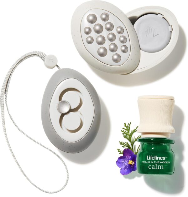 Lifelines Scent-Infused Grounding Stones, 2-Pack, Flow Pack - Portable Fidgets for Adults with Essential Oil Blend & Diffusion Stones for Sensory Immersion - Calming Waterless Passive Diffuser