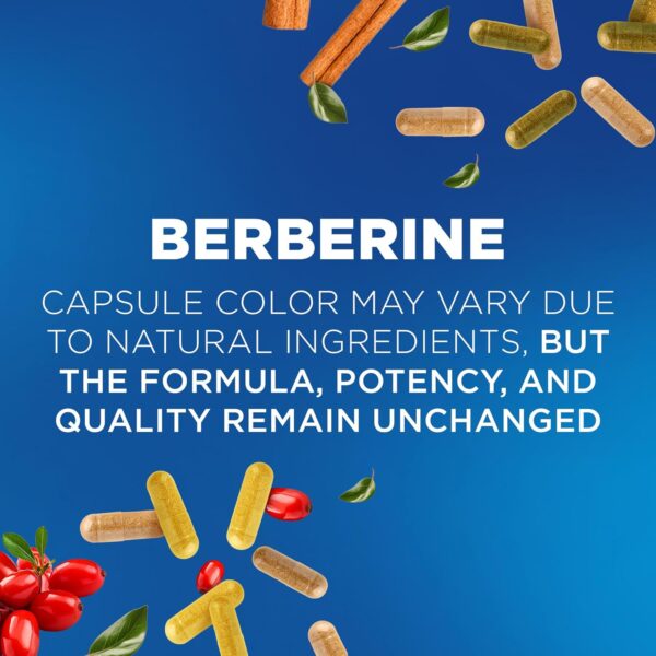Nutrivein Premium Berberine HCL 1200mg Plus Organic Ceylon Cinnamon - 120 Capsules - Supports Immune System, Weight Management - Berberine HCI Supplement