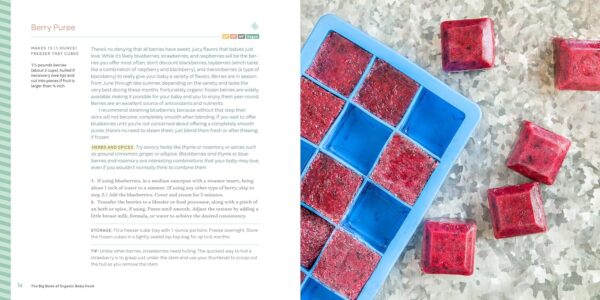 The Big Book of Organic Baby Food: Baby Purées, Finger Foods, and Toddler Meals For Every Stage (Organic Foods for Baby and Toddler)