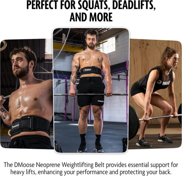 DMoose Fitness Neoprene Weight Lifting Belt - Adjustable 6" Gym Support for Stability & Lumbar Support - Sweat Resistant Weightlifting Belt for Men & Women for Squats, Deadlifts & Bench Presses