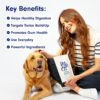 PetLab Co. Dental Sticks – Dog Dental Chews -Target Plaque & Tartar Build-Up at The Source - Designed to Maintain Your Dog’s Oral Health, Keep Breath Fresh and Provide Digestive Help (6 Sticks)