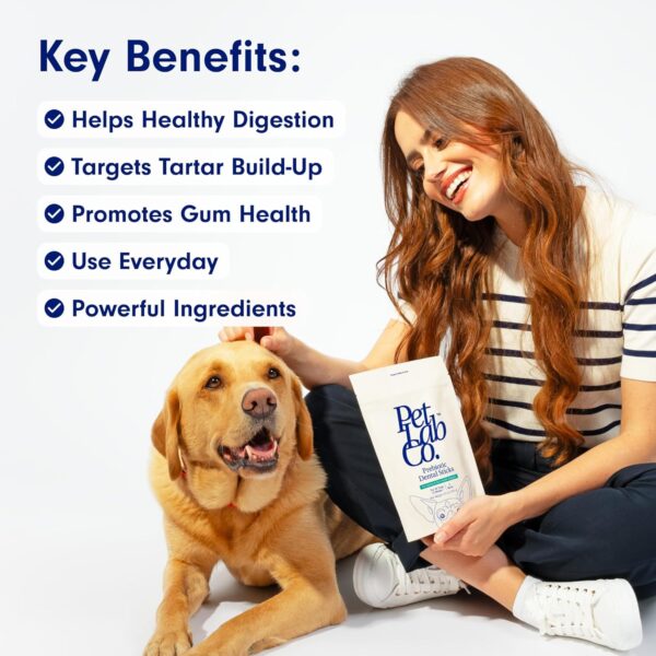 PetLab Co. Dental Sticks – Dog Dental Chews -Target Plaque & Tartar Build-Up at The Source - Designed to Maintain Your Dog’s Oral Health, Keep Breath Fresh and Provide Digestive Help (6 Sticks)