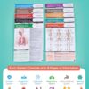 TribeRN Anatomy & Physiology Study Guides - Set of 10 Human Anatomy Guides for Nursing Students, School, College, Medical Professions - 12 Topics on Body Systems w/ Reference Charts & Terminology