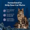 Blue Buffalo Wilderness Nature's Evolutionary Diet High-Protein, Grain-Free Natural Dry Food for Adult Cats, Chicken, 4-lb. Bag