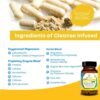 Life Infused Cleanse Infused Plus - Premium Natural Colon Cleanser with Oxygenated Magnesium, Herbs, and Enzymes, Helps Relieve Constipation Gently, Detoxifies Blood, Colon, Liver & Kidneys (90 Caps)