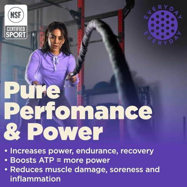 Gnarly Nutrition Creatine Powder - Creapure, Vegan Supplement, NSF Sport Certified, Optimized Recovery, Sports Nutrition, 5g Creatine Monohydrate, Unflavored (15.87oz)