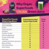 Female-Optimized Beef Organ Superfood Supplement (Beef Liver, Kidney, Heart, & 3 More) - 100% Grass Fed, Pasture Raised Cattle - Balance Hormones, Energy, & More for Women