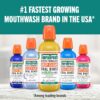 TheraBreath Deep Clean Mouthwash, Antigingivitis, Antiseptic, Fresh Mint Flavor, Dentist Formulated, Alcohol Free, 16 fl oz (Pack of 2)