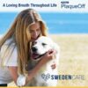 ProDen PlaqueOff Powder for Dogs & Cats - Pet Dental Care Supplement for Teeth Cleaning & Oral Health - Dog Breath Freshener & Plaque Remover - 180 g