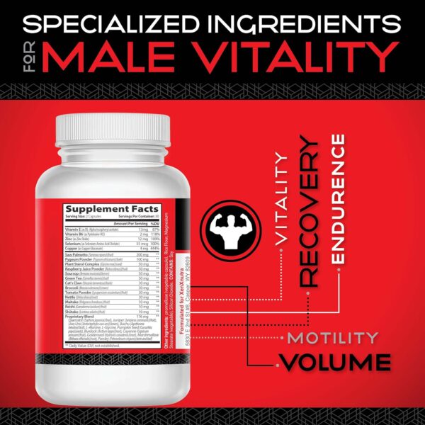 Support– Male Fertility Supplement for Sperm Health, Count, and Motility – All-Natural Formula with Vitamins, Minerals, and Antioxidants – Supports Reproductive Health and Hormonal Balance