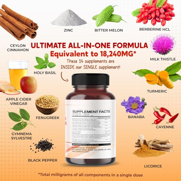 Berberine 8000mg Cinnamon 6000mg Apple Cider Vinegar 3000mg Turmeric 3000mg - Overall Wellness Support- Made in USA