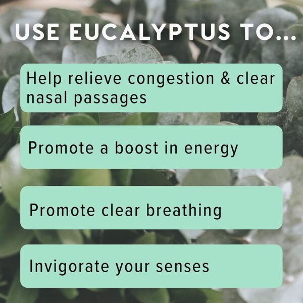 MOXĒ Eucalyptus Essential Oil Nasal Inhaler, Sinus & Congestion Relief, Daily Relaxation, Stress Relief, Therapeutic No-Mess Aromatherapy, Pure and Natural, Made in USA (3 Pack)