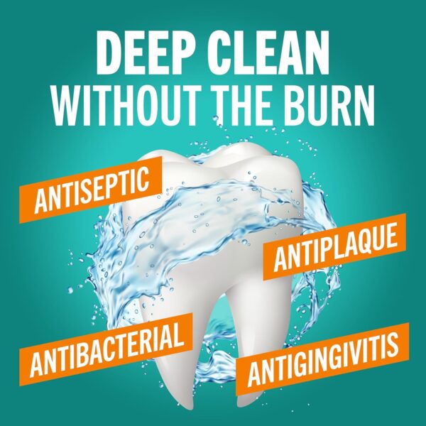 TheraBreath Deep Clean Mouthwash, Antigingivitis, Antiseptic, Fresh Mint Flavor, Dentist Formulated, Alcohol Free, 16 fl oz (Pack of 2)