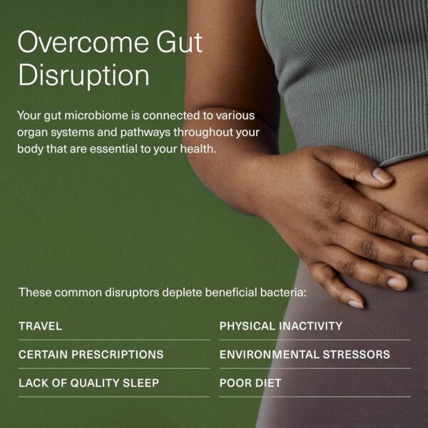 Seed 14 Day Gut Reset - Prebiotic and Probiotic for Women & Men - Digestive Health, Gut Health, Rapid Gut Recovery, Bloating & Constipation Relief - Vegan & Shelf-Stable - 28 Capsules (14-Day Supply)