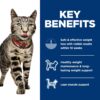 Hill's Science Diet Perfect Weight, Adult 1-6, Weight Management Support, Wet Cat Food, Variety Pack: Liver & Chicken Minced; Chicken Stew, 2.9 oz Can Variety Pack, Case of 24