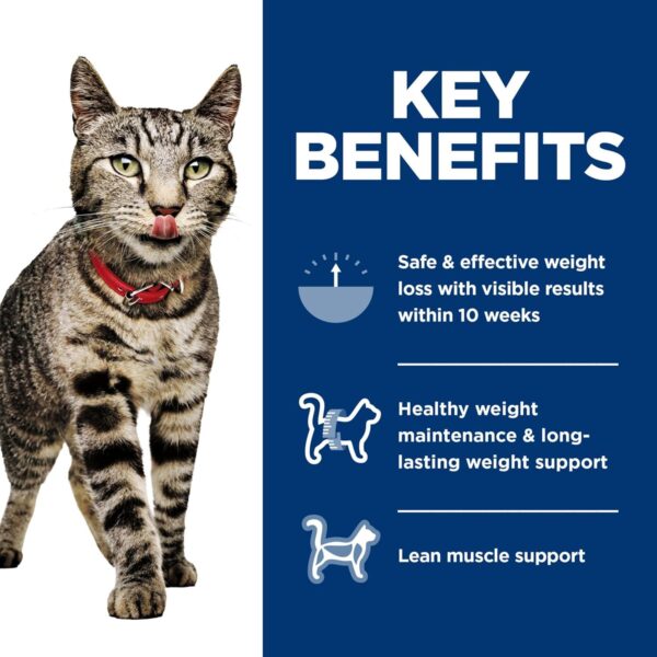 Hill's Science Diet Perfect Weight, Adult 1-6, Weight Management Support, Wet Cat Food, Variety Pack: Liver & Chicken Minced; Chicken Stew, 2.9 oz Can Variety Pack, Case of 24