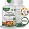 Organic Superfood Greens Fruits and Veggies Complex with Ashwagandha - 2 in 1 Supplement with 14 Greens Fruits & Vegetables with Ashwagandha Rich in Antioxidants - Non-GMO 90 Capsules