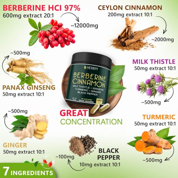 Berberine and Ceylon Cinnamon for Weight Management & Digestion, Heart Health & Immune - 7in1 with Premium Ginseng, Turmeric Curcumin, Ginger & Black Pepper - 120 Vegan Capsules
