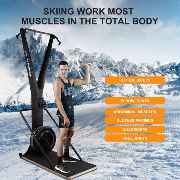 Ski Machine, Indoor Aerobic Wind Resistance Machine, Exercise Equipment for Home, Skiing Machine with LCD Display, Home Gym Strength Training Equipment, Black