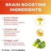 Vital Vitamins Nootropic Brain Supplement Plus - for Memory, Focus, Concentration, Neuro Energy, Clarity - with Lion's Mane Mushrooms - 60 Capsules