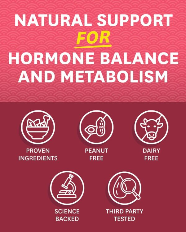Zenwise Health ZenoPause for Menopause Relief | Digestive Health, Bone Density and Gut Balance | Probiotics, Green Tea and Black Cohosh - 60 Count