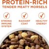 Purina ONE Plus Healthy Weight High-Protein Dog Food Dry Formula - 16.5 lb. Bag