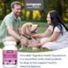 Nutramax Laboratories Proviable Digestive Health Supplement Multi-Strain Probiotics and Prebiotics for Dogs, With 7-Strains of Bacteria, 60 Chewable Tablets