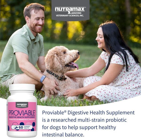 Nutramax Laboratories Proviable Digestive Health Supplement Multi-Strain Probiotics and Prebiotics for Dogs, With 7-Strains of Bacteria, 60 Chewable Tablets