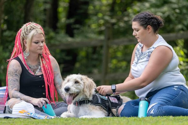 NormaLyte Oral Rehydration Salts- Pack of 6 (Pure) | Electrolyte Powder, Energy Supplements, Electrolytes Powder Packets, Potassium Supplement, Hydration Powder, No Preservatives, Vegan, Dehydration