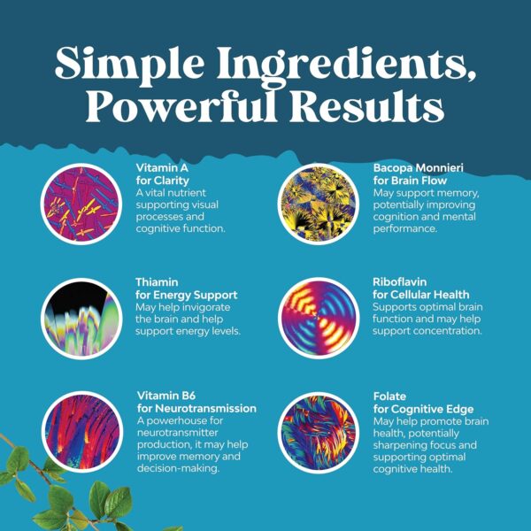 817A0jWd0RL._AC_SL1500_.jpg Nootropics Brain Support Supplement - Mental Focus Nootropic Memory Supplement for Brain Health & and Performance Blend, with Energy and Vitamins DMAE Bacopa and Phosphatidylserine Capsule