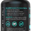 Vital Vitamins Multi Collagen for Women & Men (2-Pack) - Type I, II, III, V, X - Grass Fed, Non-GMO - 300 Capsules