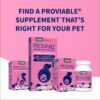 Nutramax Laboratories Proviable Digestive Health Supplement Multi-Strain Probiotics and Prebiotics for Dogs, With 7-Strains of Bacteria, 60 Chewable Tablets