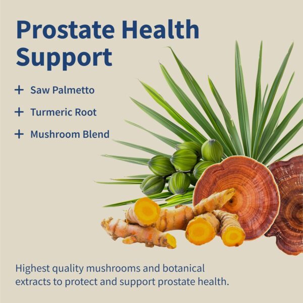 Snap Supplements Prostate Health Support Supplement, Saw Palmetto for Men Plus Stinging Nettle Root, Magnesium Citrate, Zinc and Plant Sterols, Supports Male Urinary Tract Health, 90 Capsules