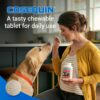 Nutramax Laboratories Cosequin Maximum Strength Joint Health Supplement for Dogs - With Glucosamine, Chondroitin, and MSM, 132 Chewable Tablets